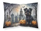 Affenpinscher Spooky Halloween Standard Pillowcase Lightweight Super Soft Easy Care Decorative Artwork Pillowcase, Standard